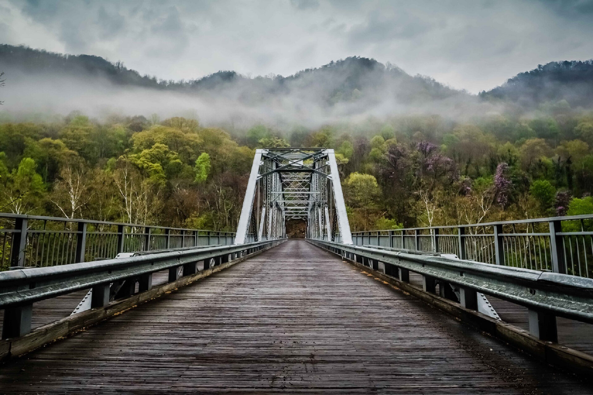 Canva - Foggy Wooden Bridge.jpg