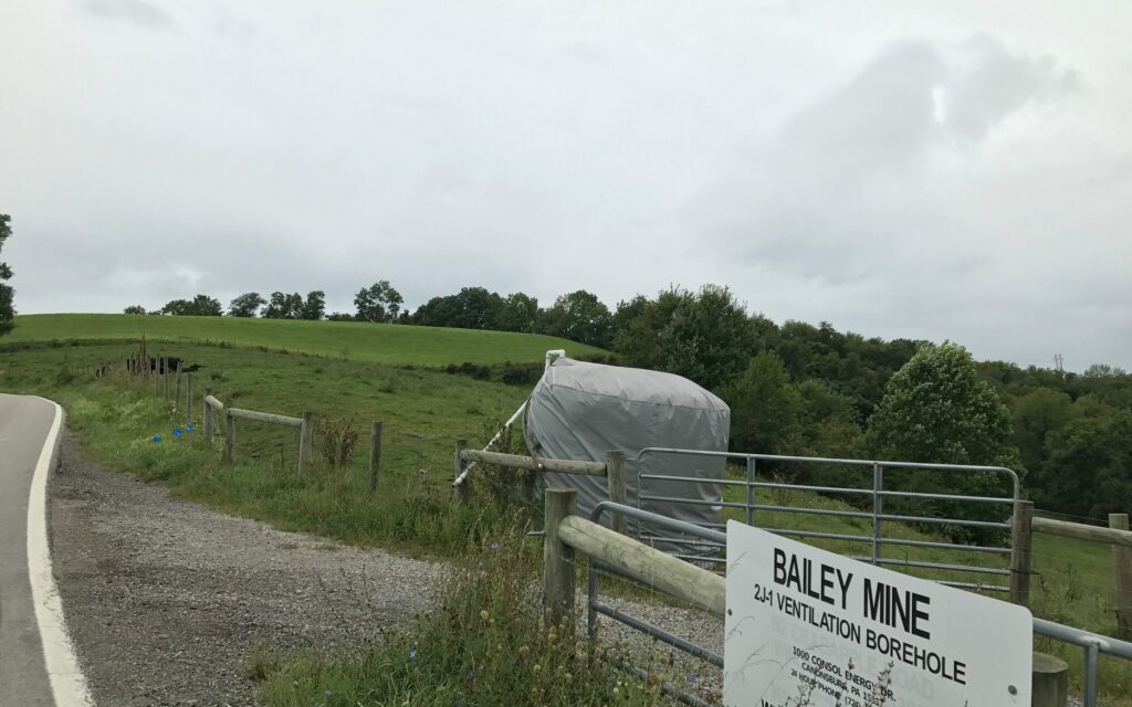 Bailey Mine water buffalo