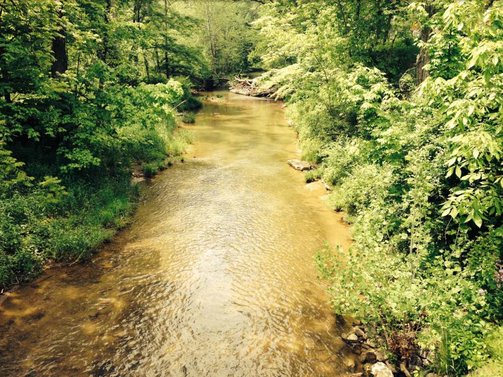Environmental Hearing Board Overturns Permit for Destructive Mining Upstream of Ryerson Station State Park 9 Before longwall mining