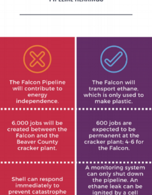 Falcon Fact vs Fiction