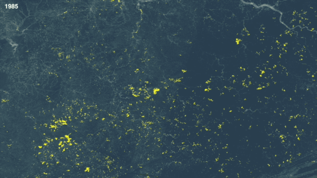 Satellite images from 1985 to 2015 show how mountaintop removal mining spread across this 12,000-square-mile area of Kentucky, West Virginia and Virginia. Source: Christian Thomas/SkyTruth