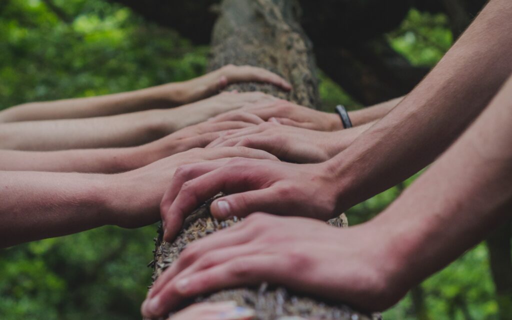 hands on tree