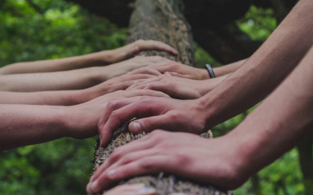 hands on tree shane rounce DNkoNXQti3c unsplash