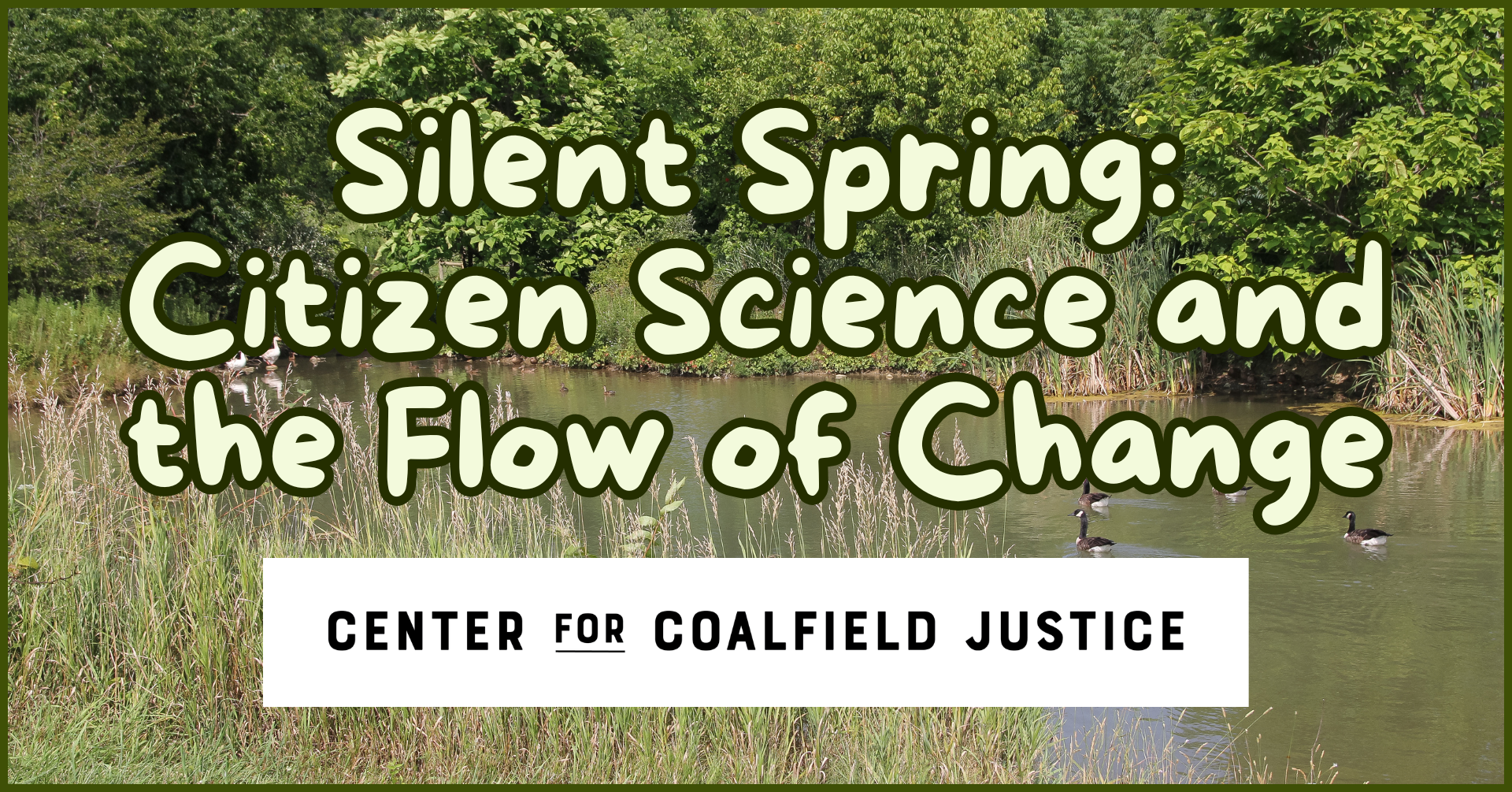 Silent Spring: Citizen Science and the Flow of Change 8 Silent Spring Blog Graphic
