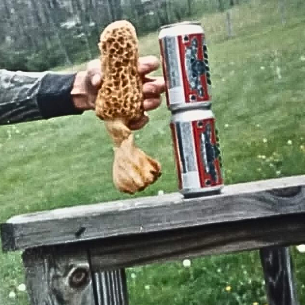 Could an Indigenous Approach to Climate Change be the Solution for Rural Americans? 2 Untitled design 10