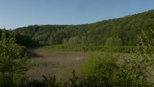 Lakebed Spring.00 01 52 26.Still001