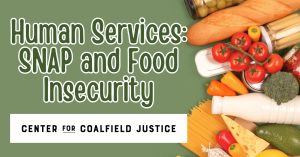 SNAP and Food Insecurity Blog Graphic