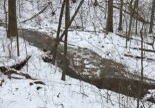 Kent Run Ryerson Winter