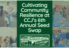 Seed Swap Blog Graphic