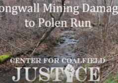 longwall mining damage to Polen Run
